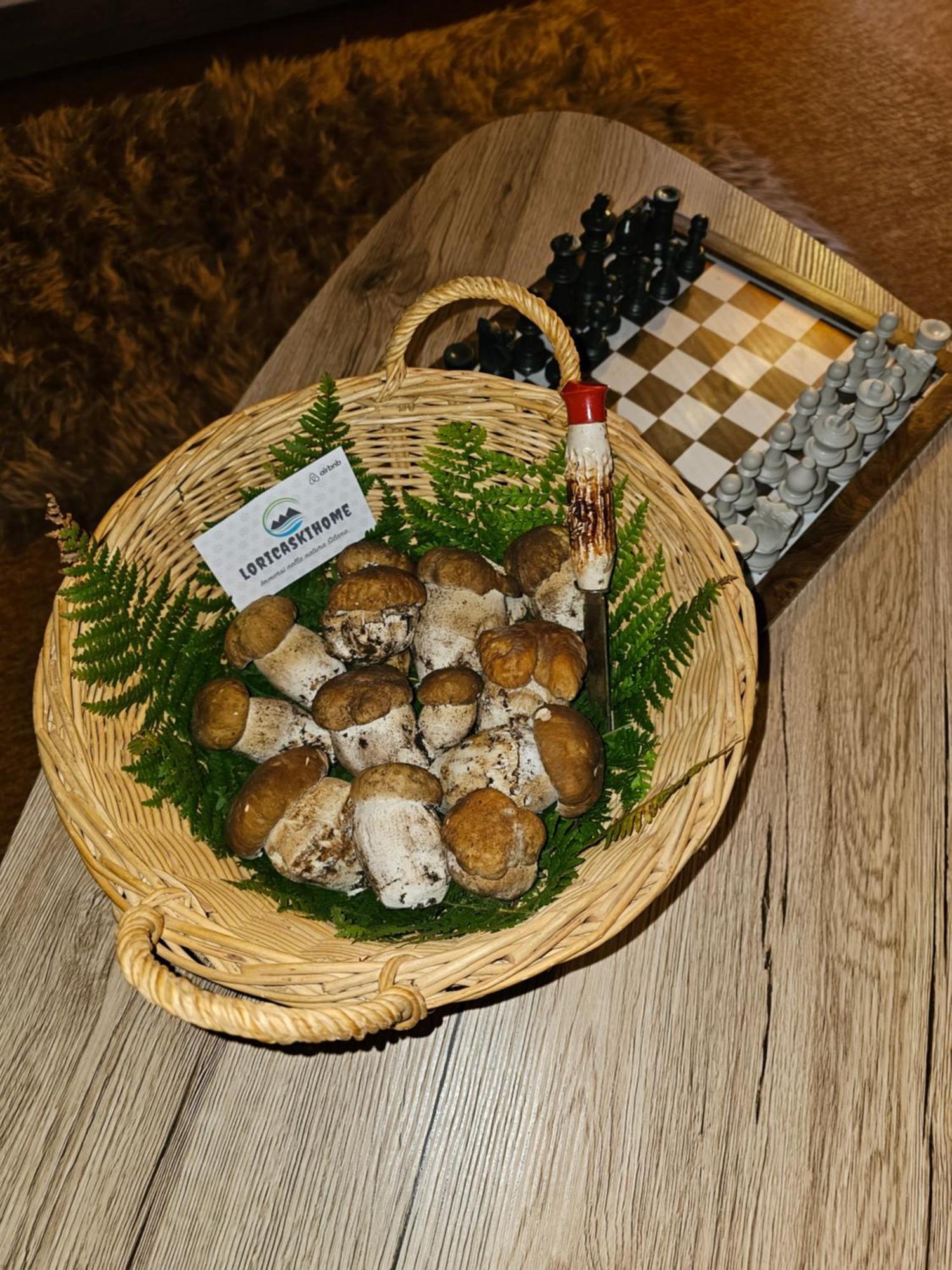 Loricaskihome Bagian luar foto