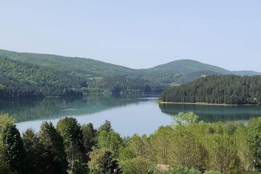 Loricaskihome Bagian luar foto