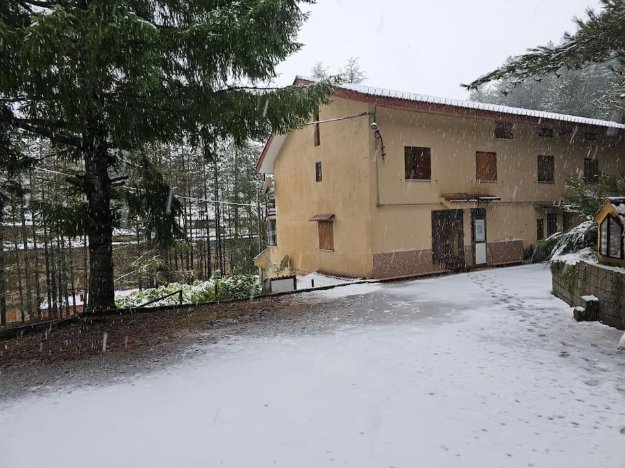 Loricaskihome Bagian luar foto