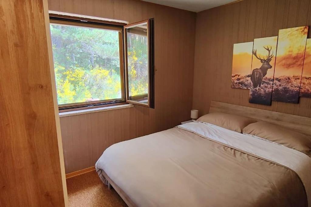 Loricaskihome Bagian luar foto