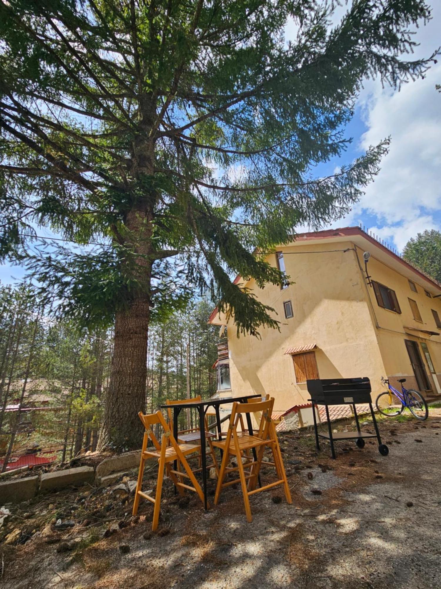 Loricaskihome Bagian luar foto